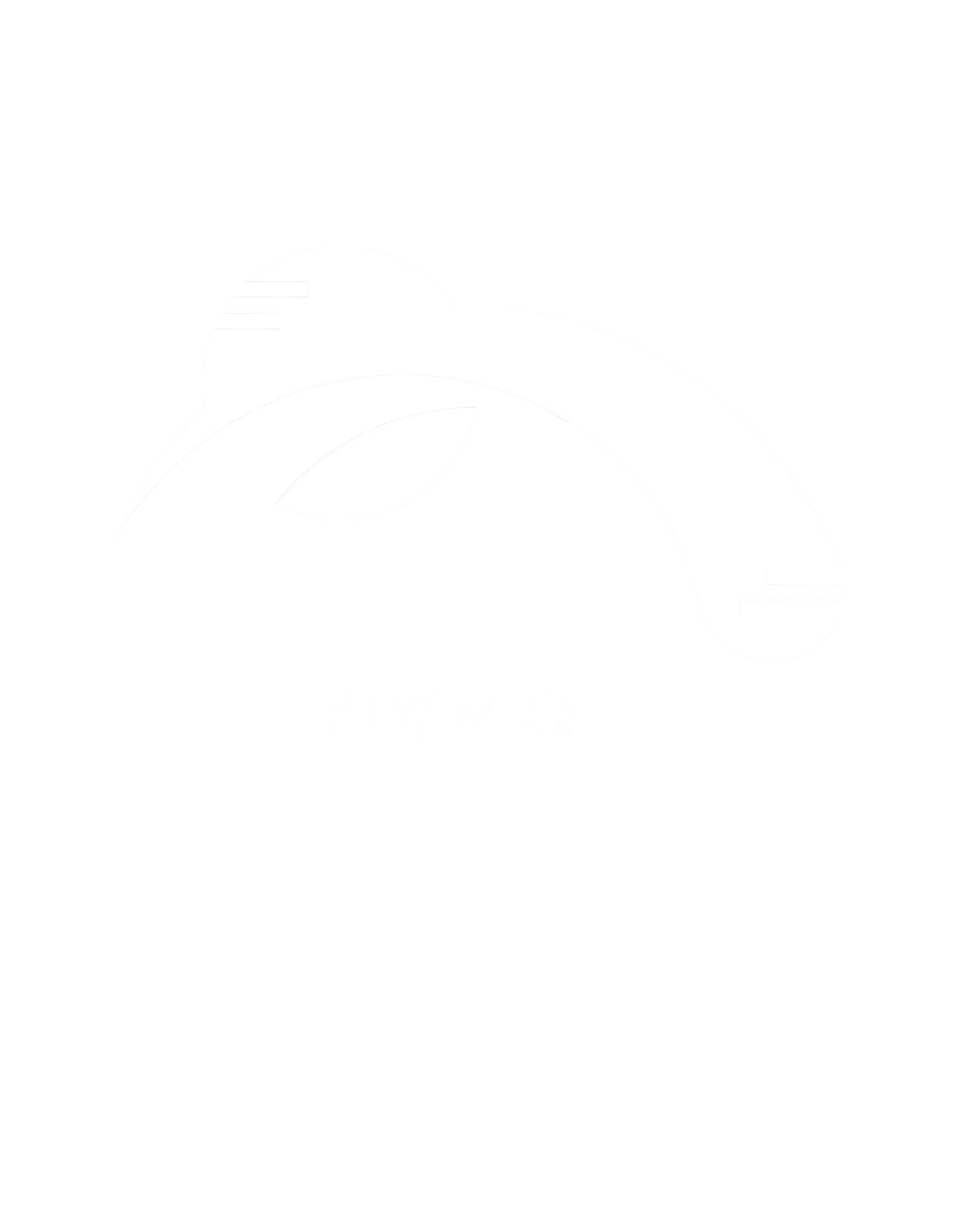 flyzen